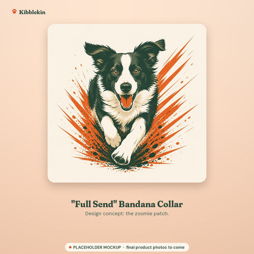 Placeholder mockup (not a final Printify product photo): bold flat border collie zoomie illustration used on the Full Send bandana collar design