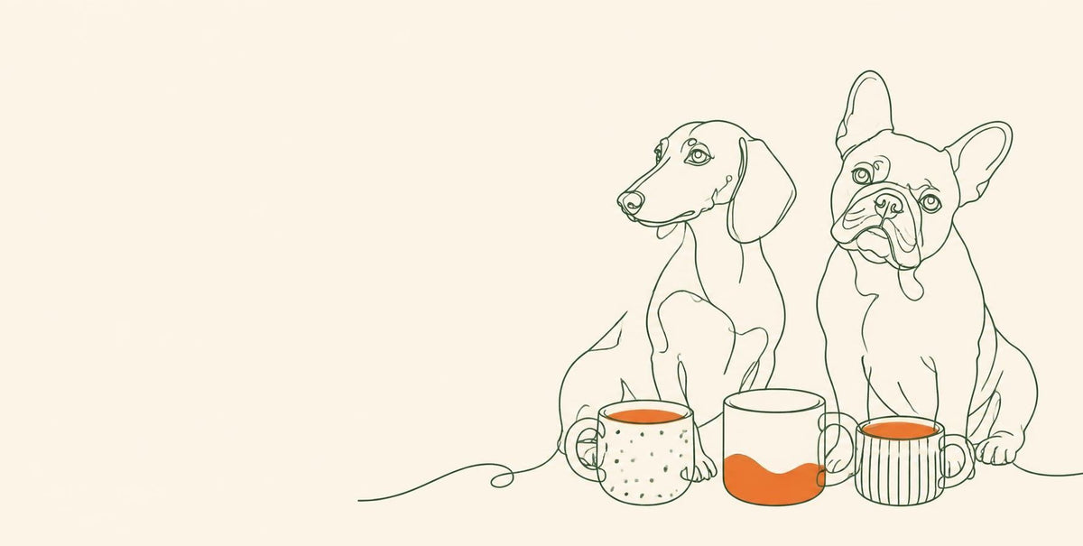 Concept art: line drawing of two dogs with three mugs