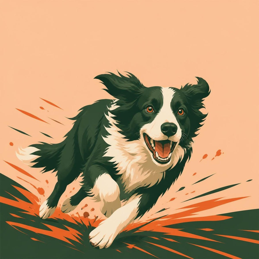 Concept art: a border collie at full sprint