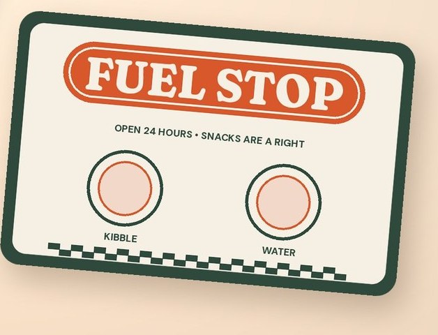 Placeholder mockup: a Fuel Stop dog feeding mat with kibble and water circles